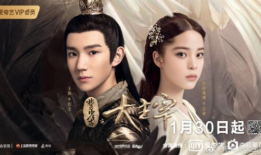 大主宰电视剧,奇幻世界中的英雄崛起与命运抉择