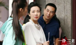 一仆二主电视剧,忠诚与抉择的职场风云