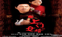 上门女婿电视剧演员表,实力派演员阵容，演绎现代家庭情感纠葛